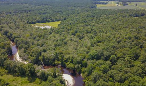 Photo #22 of SOLD property in 291 S Dobson Chapel Road, Kenansville, NC 290.0 acres