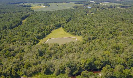Photo #23 of SOLD property in 291 S Dobson Chapel Road, Kenansville, NC 290.0 acres