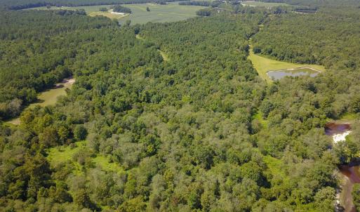 Photo #24 of SOLD property in 291 S Dobson Chapel Road, Kenansville, NC 290.0 acres