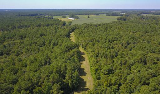 Photo #25 of SOLD property in 291 S Dobson Chapel Road, Kenansville, NC 290.0 acres