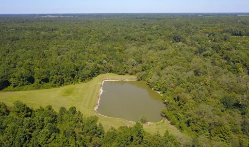 Photo #26 of SOLD property in 291 S Dobson Chapel Road, Kenansville, NC 290.0 acres