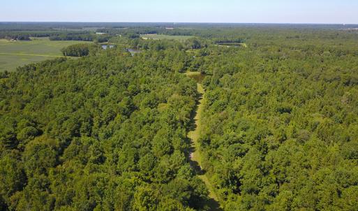 Photo #28 of SOLD property in 291 S Dobson Chapel Road, Kenansville, NC 290.0 acres