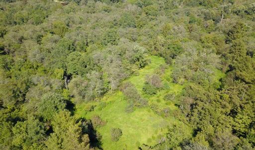 Photo #30 of SOLD property in 291 S Dobson Chapel Road, Kenansville, NC 290.0 acres
