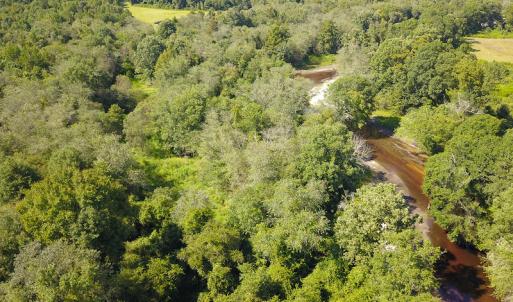 Photo #31 of SOLD property in 291 S Dobson Chapel Road, Kenansville, NC 290.0 acres