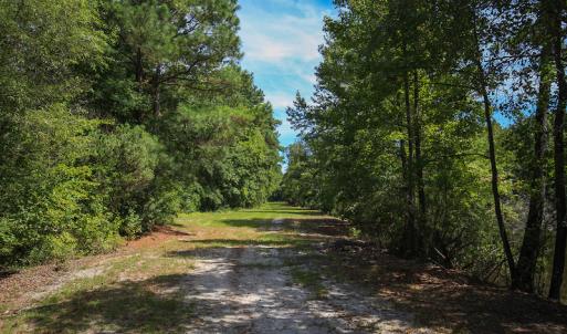 Photo #38 of SOLD property in 291 S Dobson Chapel Road, Kenansville, NC 290.0 acres