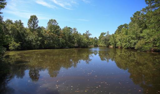 Photo #39 of SOLD property in 291 S Dobson Chapel Road, Kenansville, NC 290.0 acres