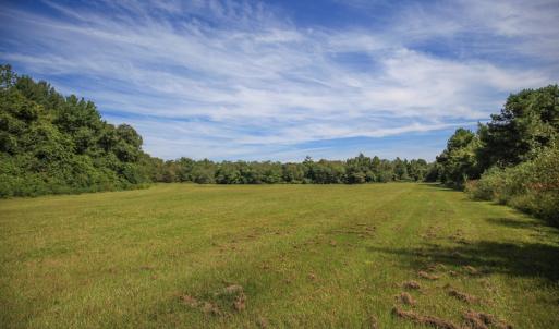 Photo #40 of SOLD property in 291 S Dobson Chapel Road, Kenansville, NC 290.0 acres