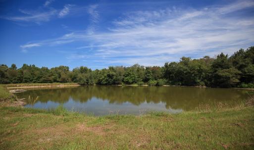 Photo #42 of SOLD property in 291 S Dobson Chapel Road, Kenansville, NC 290.0 acres