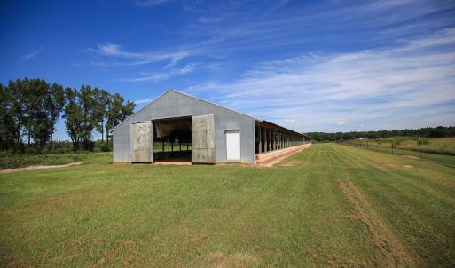 Photo #43 of SOLD property in 291 S Dobson Chapel Road, Kenansville, NC 290.0 acres