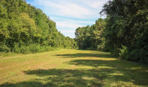 Photo #44 of SOLD property in 291 S Dobson Chapel Road, Kenansville, NC 290.0 acres