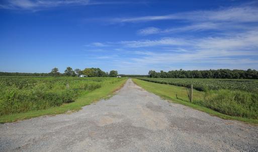 Photo #47 of SOLD property in 291 S Dobson Chapel Road, Kenansville, NC 290.0 acres