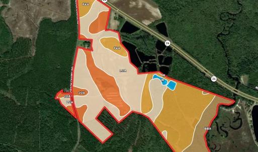 Photo #48 of SOLD property in 291 S Dobson Chapel Road, Kenansville, NC 290.0 acres