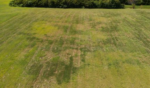 Photo #13 of SOLD property in Off Sandpiper Drive, Hertford, NC 2.2 acres