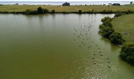 Photo #18 of SOLD property in Off Sandpiper Drive, Hertford, NC 2.2 acres