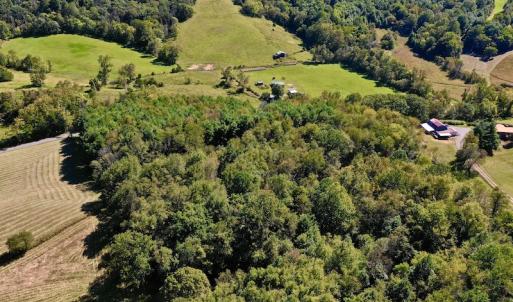 Photo #5 of SOLD property in Off Sheep Creek Road, Bedford, VA 8.0 acres