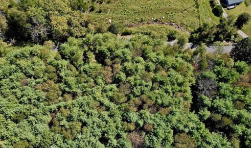 Photo #11 of SOLD property in Off Sheep Creek Road, Bedford, VA 8.0 acres