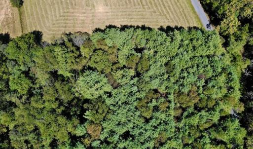 Photo #12 of SOLD property in Off Sheep Creek Road, Bedford, VA 8.0 acres