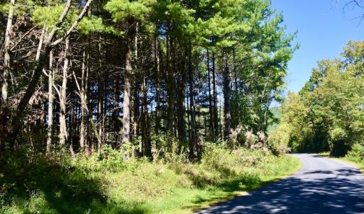 Photo #16 of SOLD property in Off Sheep Creek Road, Bedford, VA 8.0 acres