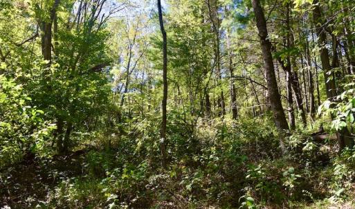 Photo #24 of SOLD property in Off Sheep Creek Road, Bedford, VA 8.0 acres