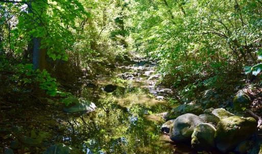 Photo #25 of SOLD property in Off Sheep Creek Road, Bedford, VA 8.0 acres
