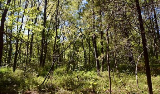 Photo #27 of SOLD property in Off Sheep Creek Road, Bedford, VA 8.0 acres