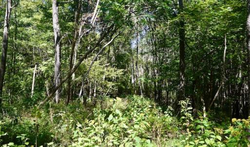 Photo #28 of SOLD property in Off Sheep Creek Road, Bedford, VA 8.0 acres
