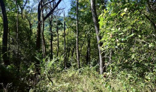 Photo #29 of SOLD property in Off Sheep Creek Road, Bedford, VA 8.0 acres