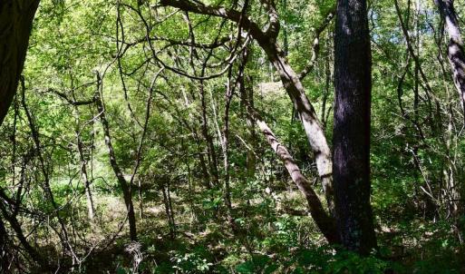 Photo #30 of SOLD property in Off Sheep Creek Road, Bedford, VA 8.0 acres
