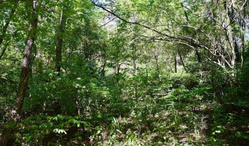Photo #31 of SOLD property in Off Sheep Creek Road, Bedford, VA 8.0 acres
