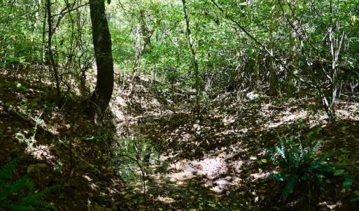 Photo #32 of SOLD property in Off Sheep Creek Road, Bedford, VA 8.0 acres