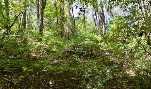 Photo #33 of SOLD property in Off Sheep Creek Road, Bedford, VA 8.0 acres