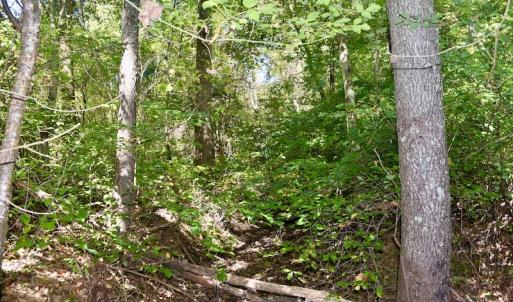 Photo #35 of SOLD property in Off Sheep Creek Road, Bedford, VA 8.0 acres