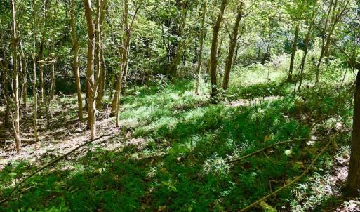 Photo #38 of SOLD property in Off Sheep Creek Road, Bedford, VA 8.0 acres