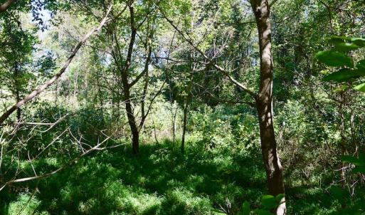 Photo #40 of SOLD property in Off Sheep Creek Road, Bedford, VA 8.0 acres