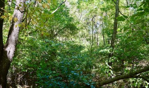 Photo #42 of SOLD property in Off Sheep Creek Road, Bedford, VA 8.0 acres
