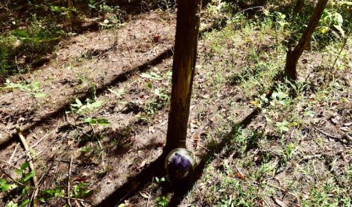 Photo #43 of SOLD property in Off Sheep Creek Road, Bedford, VA 8.0 acres
