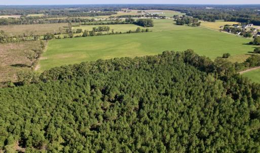 Photo #8 of SOLD property in Off California Road, Farmville, NC 13.2 acres