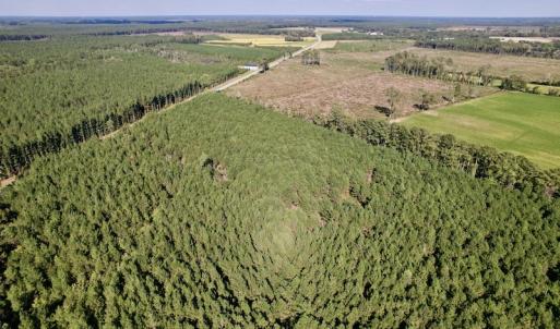 Photo #9 of SOLD property in Off California Road, Farmville, NC 13.2 acres