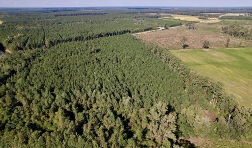 Photo #10 of SOLD property in Off California Road, Farmville, NC 13.2 acres