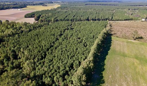 Photo #14 of SOLD property in Off California Road, Farmville, NC 13.2 acres