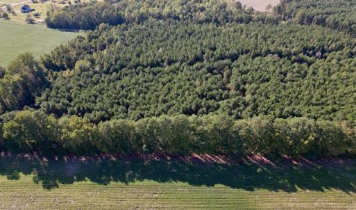 Photo #15 of SOLD property in Off California Road, Farmville, NC 13.2 acres