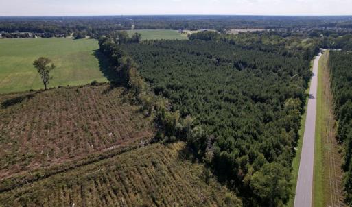 Photo #2 of SOLD property in Off California Road, Farmville, NC 13.2 acres