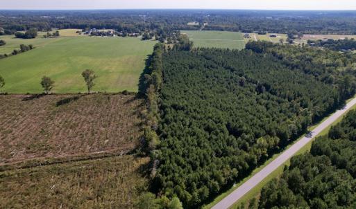 Photo #3 of SOLD property in Off California Road, Farmville, NC 13.2 acres