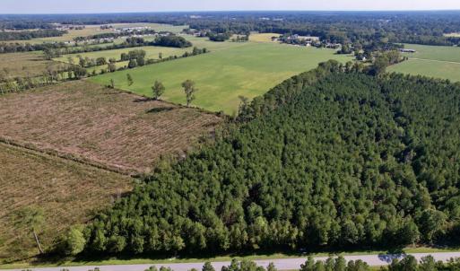 Photo #4 of SOLD property in Off California Road, Farmville, NC 13.2 acres