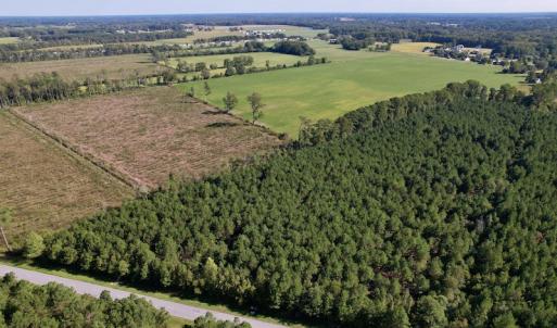 Photo #5 of SOLD property in Off California Road, Farmville, NC 13.2 acres