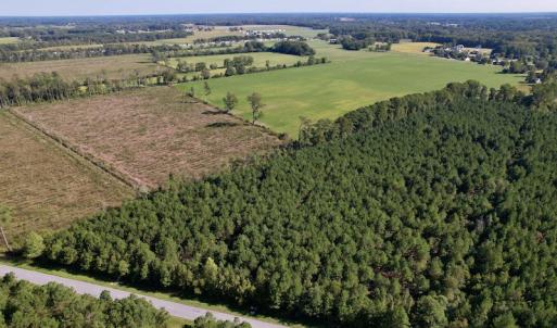 Photo #5 of SOLD property in Off California Road, Farmville, NC 13.2 acres