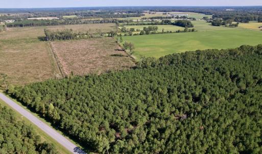 Photo #6 of SOLD property in Off California Road, Farmville, NC 13.2 acres
