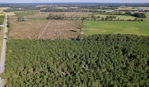 Photo #7 of SOLD property in Off California Road, Farmville, NC 13.2 acres