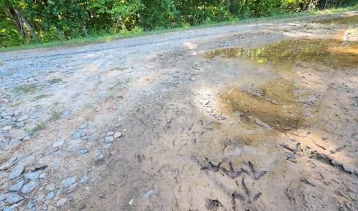 Photo #27 of SOLD property in 4465 Harmony Road, Long Island, VA 135.5 acres