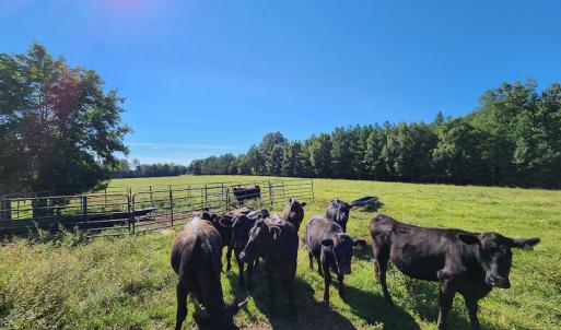 Photo #29 of SOLD property in 4465 Harmony Road, Long Island, VA 135.5 acres